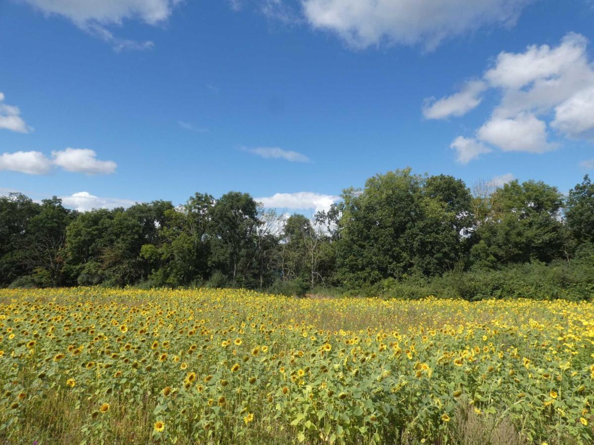 Naturstammhaus Tollensesee Groß Nemerow Exteriör bild